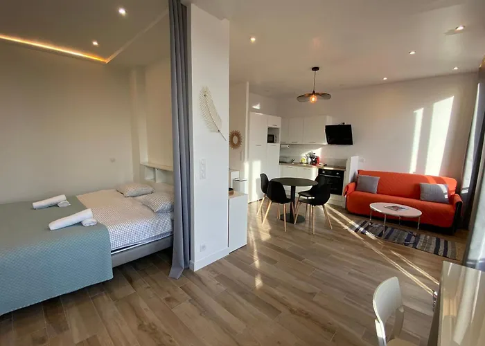 06Cj Beautiful Apartment In The Heart Of Cannes